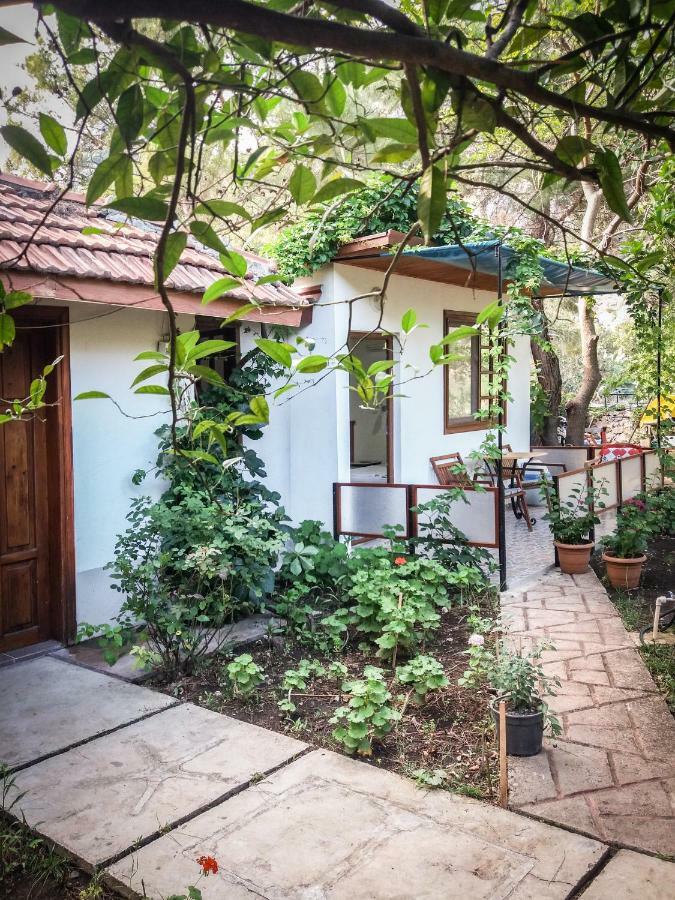 Arya Holiday Houses Çıralı Εξωτερικό φωτογραφία