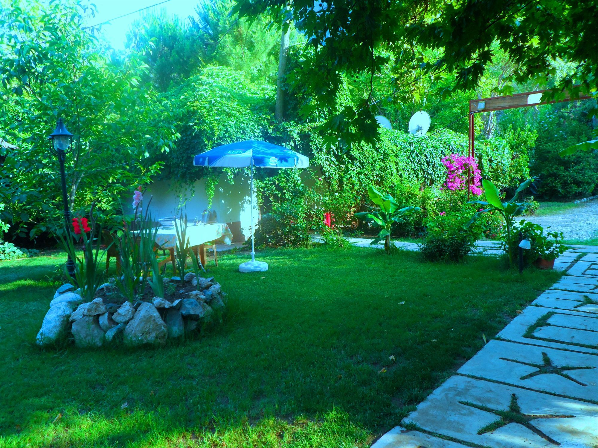 Arya Holiday Houses Çıralı Εξωτερικό φωτογραφία
