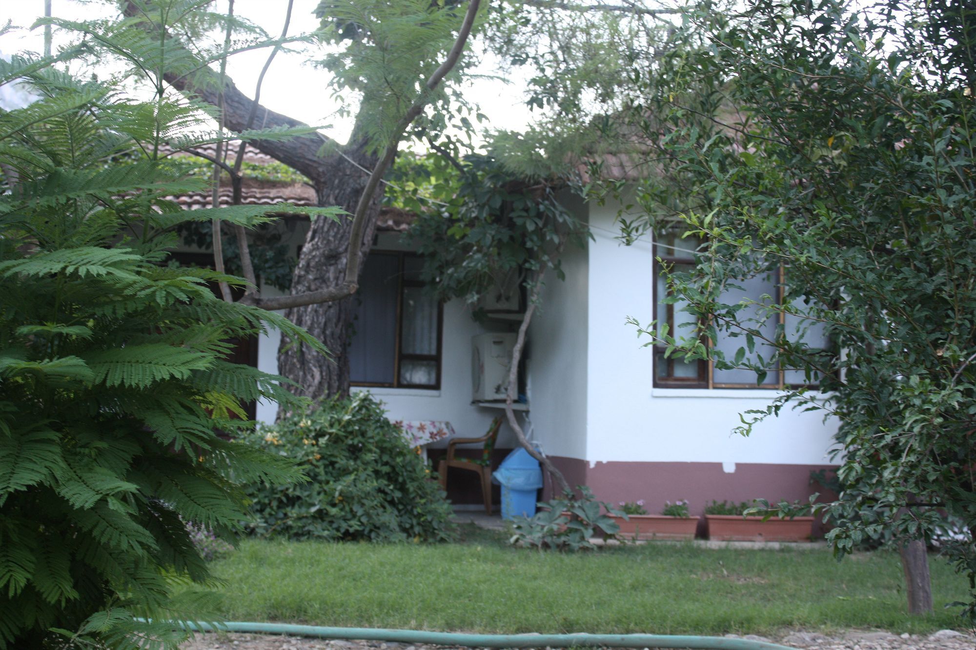Arya Holiday Houses Çıralı Εξωτερικό φωτογραφία