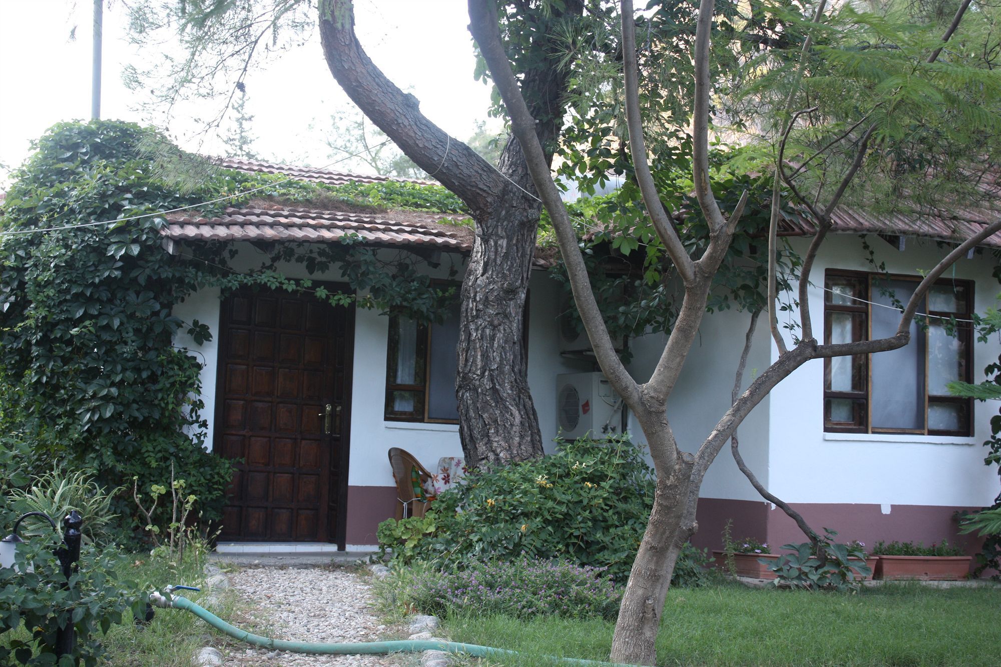 Arya Holiday Houses Çıralı Εξωτερικό φωτογραφία